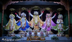 Daily Darshan