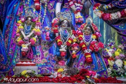 Daily Darshan