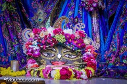 Daily Darshan