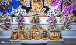 Daily Darshan