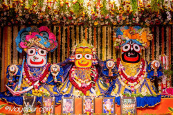 Daily Darshan