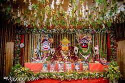 Daily Darshan