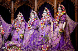 Daily Darshan