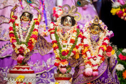 Daily Darshan