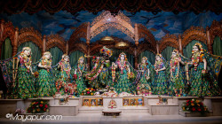 Daily Darshan