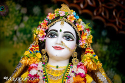 Daily Darshan