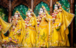 Daily Darshan