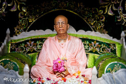 Daily Darshan