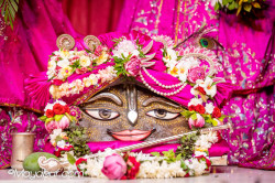 Daily Darshan