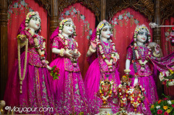 Daily Darshan