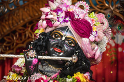 Daily Darshan