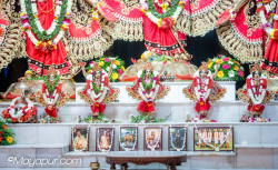 Daily Darshan