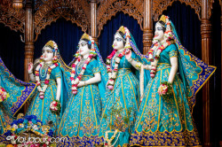 Daily Darshan