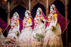 Daily Darshan