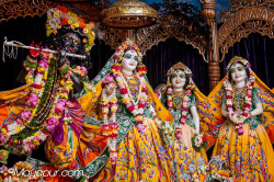 Daily Darshan