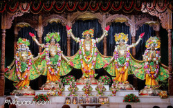 Daily Darshan