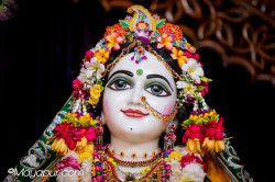 Daily Darshan