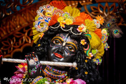 Daily Darshan