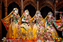 Daily Darshan