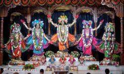 Daily Darshan