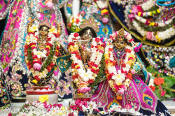 Daily Darshan