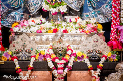 Daily Darshan