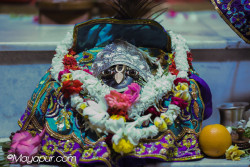 Daily Darshan