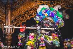 Daily Darshan