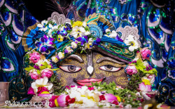 Daily Darshan