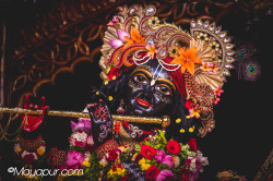 Daily Darshan