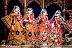Daily Darshan
