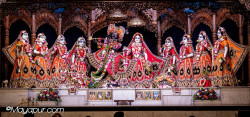 Daily Darshan