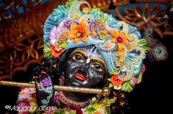 Daily Darshan