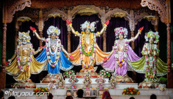 Daily Darshan
