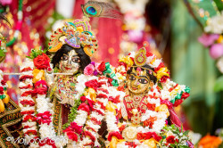 Daily Darshan