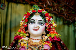 Daily Darshan
