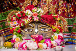 Daily Darshan