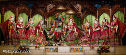Daily Darshan
