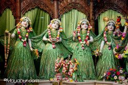 Daily Darshan
