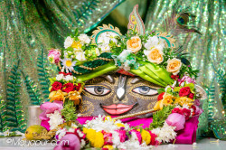 Daily Darshan