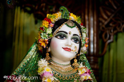 Daily Darshan