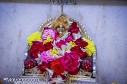 Daily Darshan