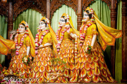 Daily Darshan