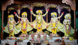 Daily Darshan