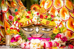 Daily Darshan