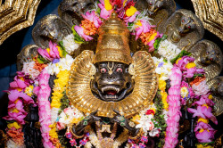 Daily Darshan