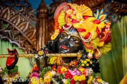 Daily Darshan