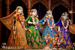 Daily Darshan