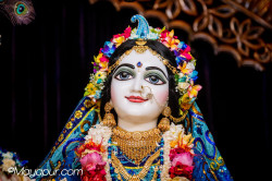 Daily Darshan