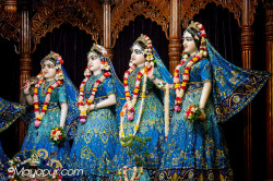Daily Darshan